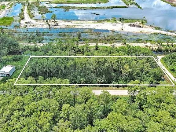 An aerial view shows a rectangular plot of land surrounded by trees and water — 167 OCEAN PARK DRIVE, LEHIGH ACRES, FL