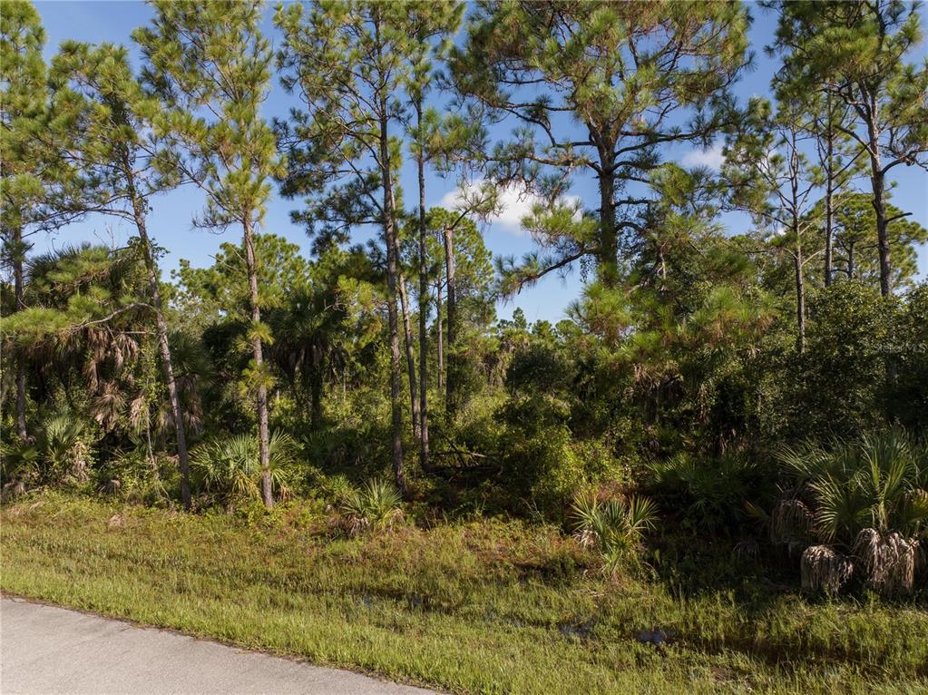 A wooded lot with pine trees and palmettos sits adjacent to a paved road — 14142 DUNLAP AVENUE, PORT CHARLOTTE, FL