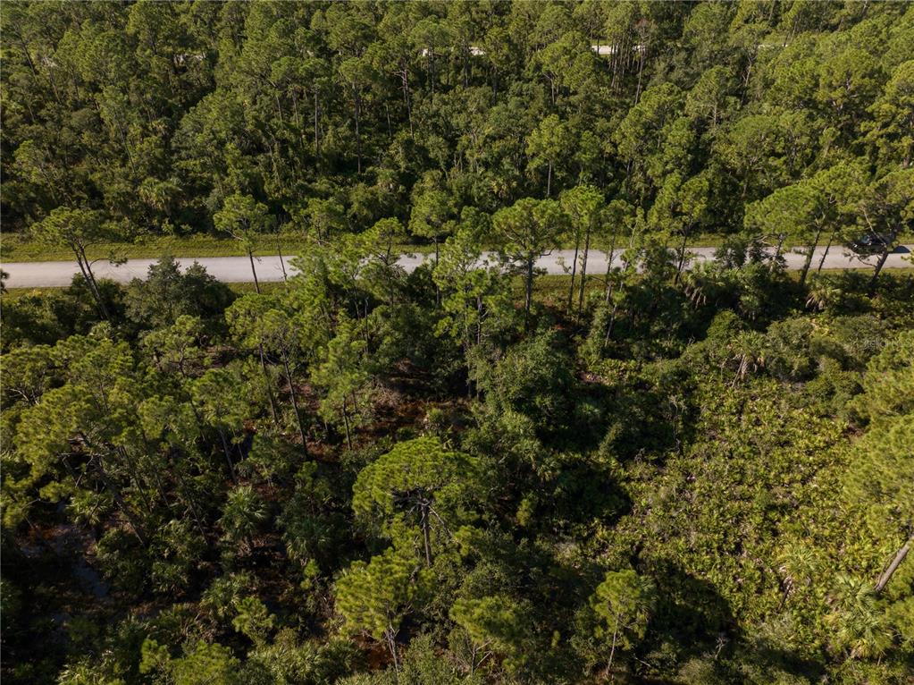 An aerial view of a wooded lot with a paved road running through the trees — 14142 DUNLAP AVENUE, PORT CHARLOTTE, FL