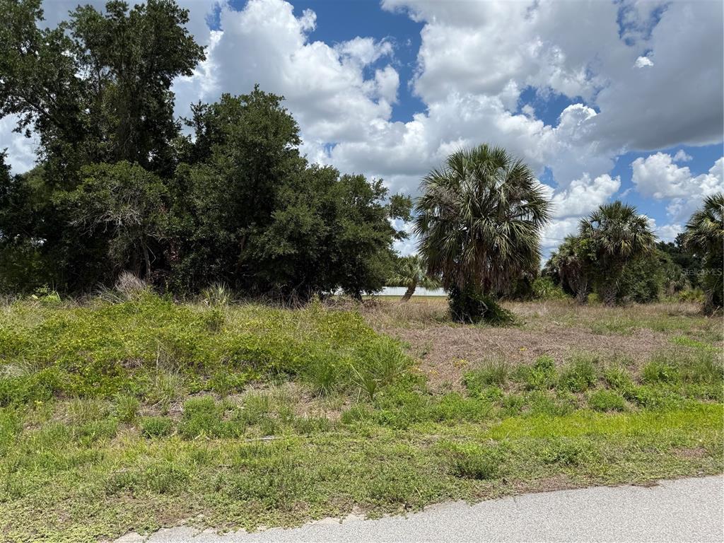 A vacant, grassy lot features scattered trees, palm trees, and a view of distant water — 3394 HIGHLANDS ROAD, PUNTA GORDA, FL