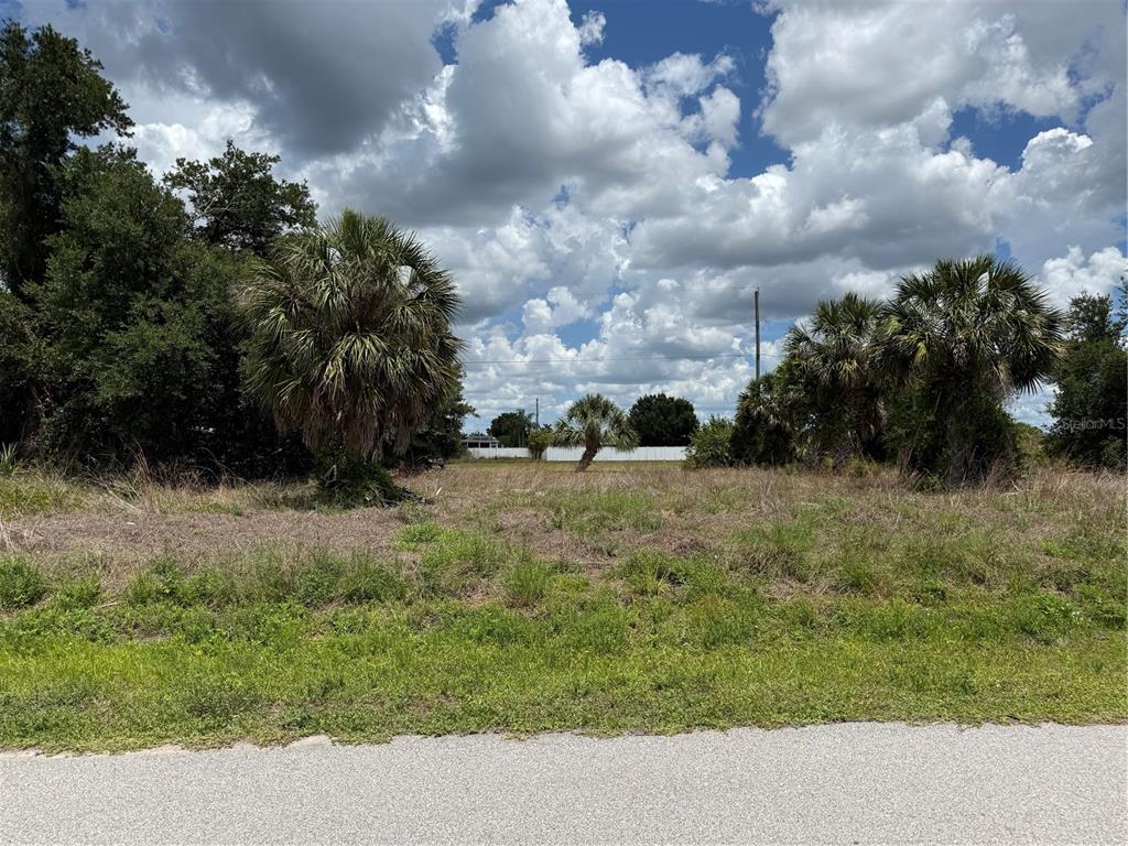 A vacant, grassy lot features several palm trees under a cloudy blue sky — 3394 HIGHLANDS ROAD, PUNTA GORDA, FL
