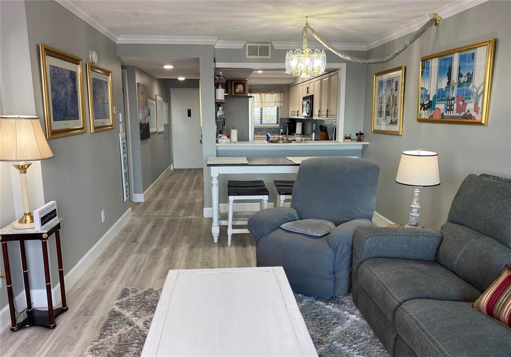 A living room with gray walls, wood-look flooring, a kitchen pass-through, and a dining table — 2465 S WASHINGTON AVENUE UNIT A202, TITUSVILLE, FL