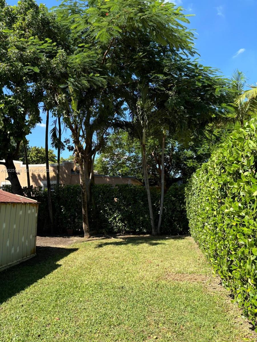 A grassy backyard features a metal shed, tall trees, and a thick privacy hedge — 2359 NW 32nd St, Miami FL 33142, MIAMI, FL
