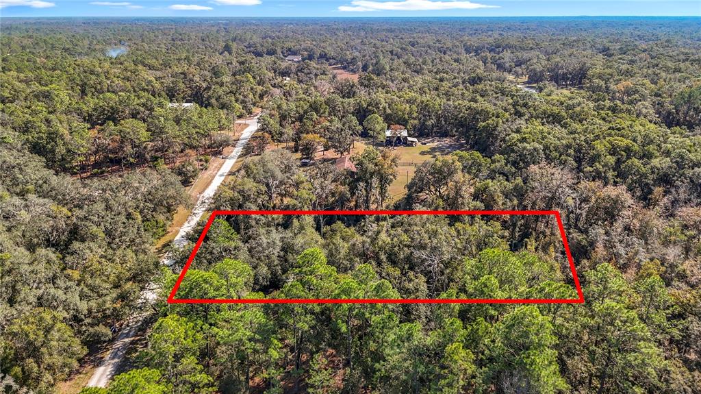 7241 SONIA AVENUE, WEBSTER, FL — photo 2 of 23