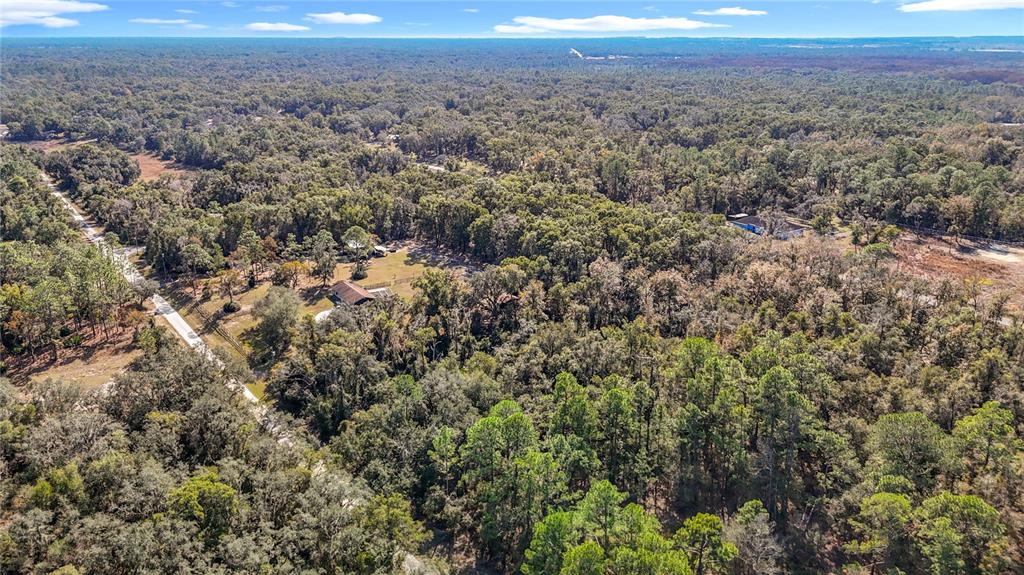 7241 SONIA AVENUE, WEBSTER, FL — photo 5 of 23