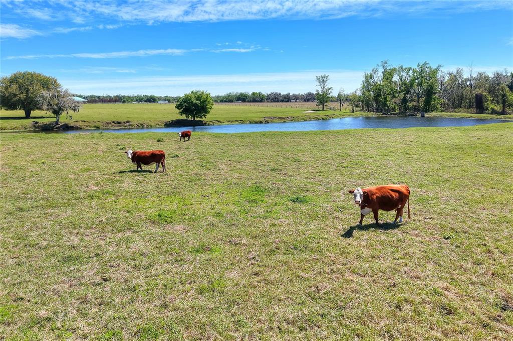 15721 COLDING LOOP, WIMAUMA, FL — photo 5 of 30