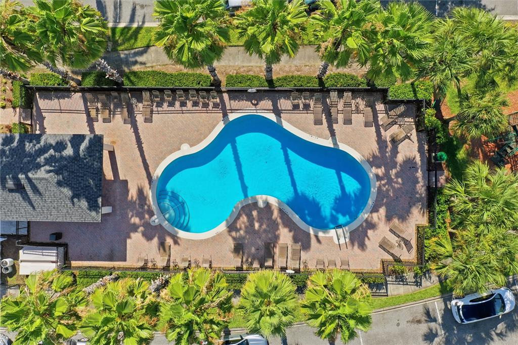 An aerial view shows a kidney-shaped swimming pool surrounded by a brick patio and palm trees — 10291 PARK COMMONS DRIVE, ORLANDO, FL