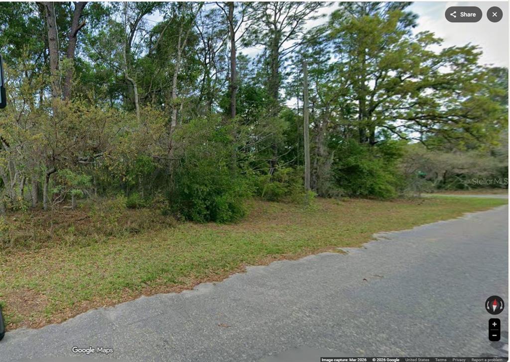 A vacant, wooded lot sits along a paved road with dense trees and brush — 731 W DEACON PLACE, CITRUS SPRINGS, FL