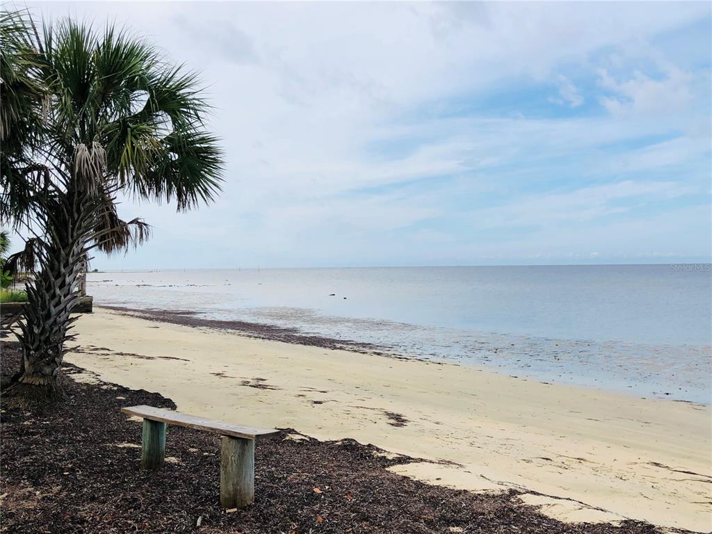 A wooden bench sits on a sandy beach next to a palm tree by the water — 3480 HARBOR DRIVE, WEEKI WACHEE, FL