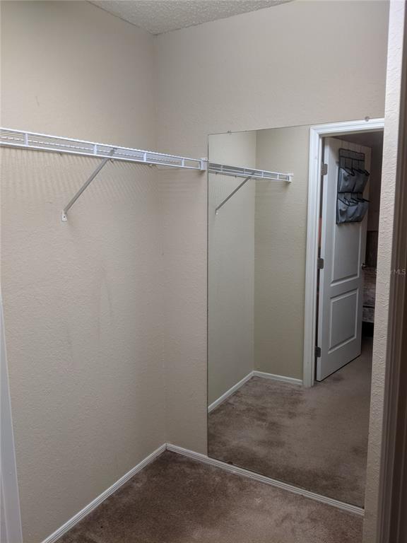A walk-in closet features carpeted flooring, white wire shelving, and a large wall-mounted mirror — 3705 SW 27TH STREET UNIT 811, GAINESVILLE, FL