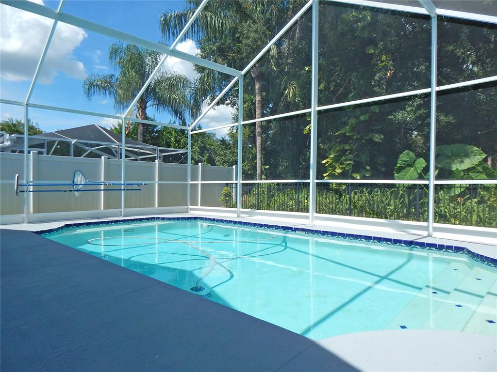 A rectangular swimming pool enclosed by a white screen cage in a backyard setting — 5827 MEADOWPARK PLACE, LITHIA, FL