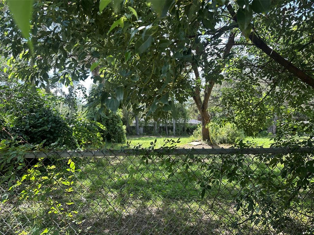 A chain-link fence separates the foreground from a grassy, tree-filled backyard — 1802 E UNIVERSITY AVENUE, GAINESVILLE, FL