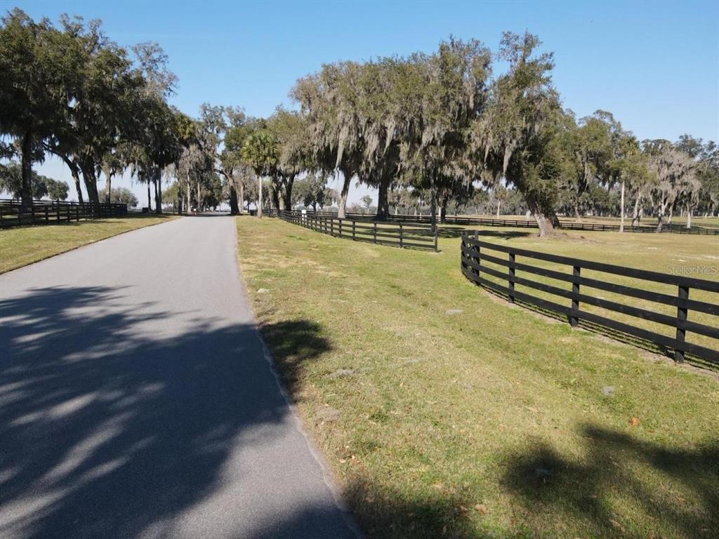 A paved driveway winds past a black wooden fence and large trees with Spanish moss — 16070 SE 55 AVE RD, SUMMERFIELD, FL