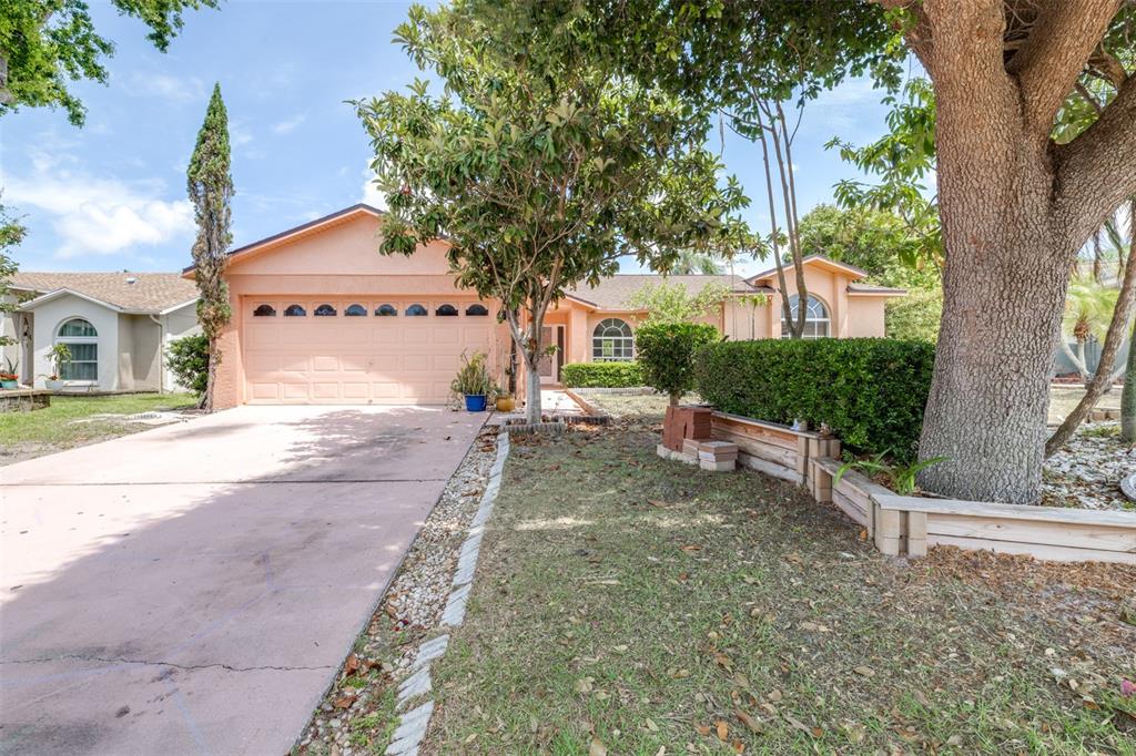 A peach-colored single-story house with a two-car garage and a large tree in front — 2538 COUNTRYSIDE PINES DRIVE, CLEARWATER, FL