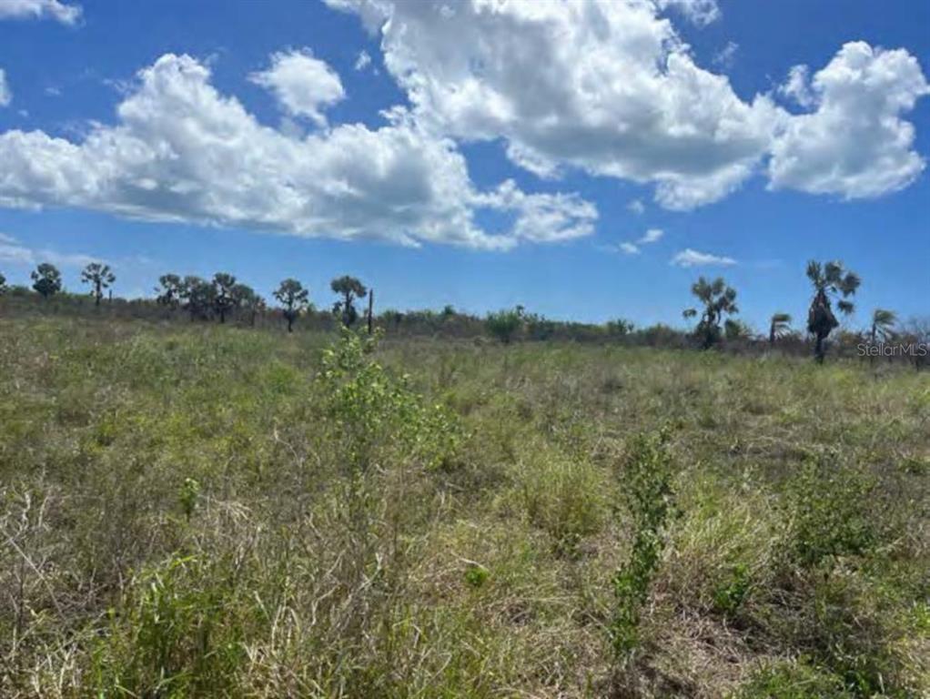 A grassy, undeveloped lot features scattered trees under a bright blue sky with white clouds — PR-ROAD #1 KM. 40.7 INT., CINTRONA & SABANA WARD, JUANA DIAZ, PR