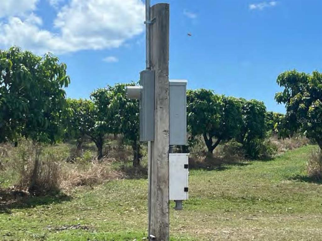 A utility pole with electrical boxes stands in a field of fruit trees — PR-ROAD #1 KM. 40.7 INT., CINTRONA & SABANA WARD, JUANA DIAZ, PR