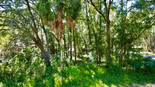 2790 NE 49TH AVENUE, OCALA, FL — photo 3 of 12