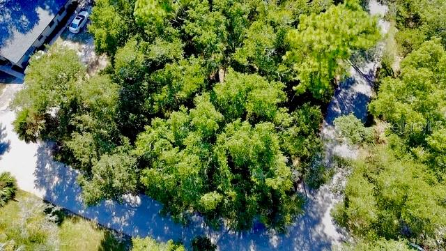 2790 NE 49TH AVENUE, OCALA, FL — photo 4 of 12