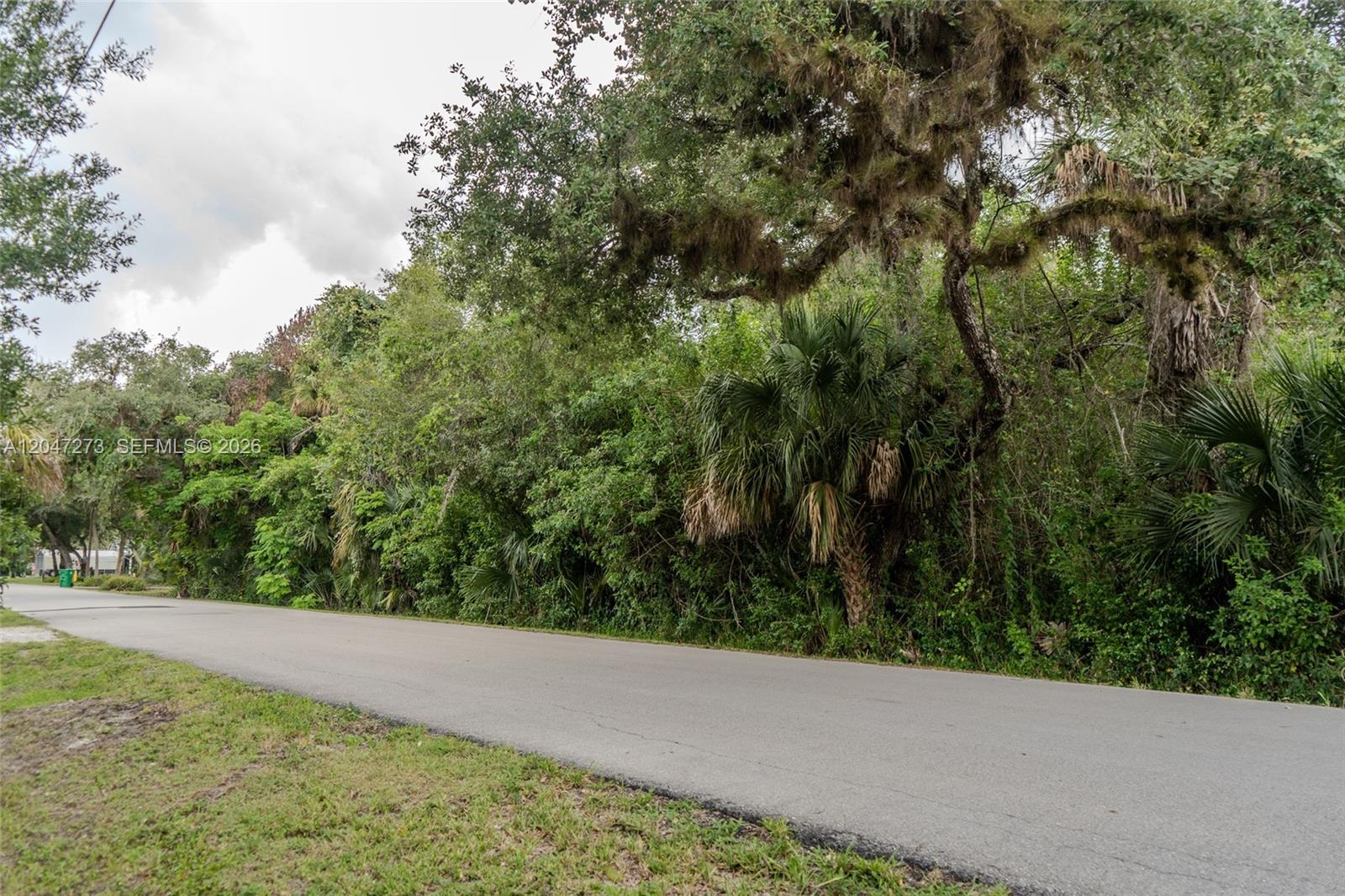 A paved road runs alongside a dense area of trees and tropical vegetation — 543 E Hickpochee Ave, La Belle FL 33935, LA BELLE, FL