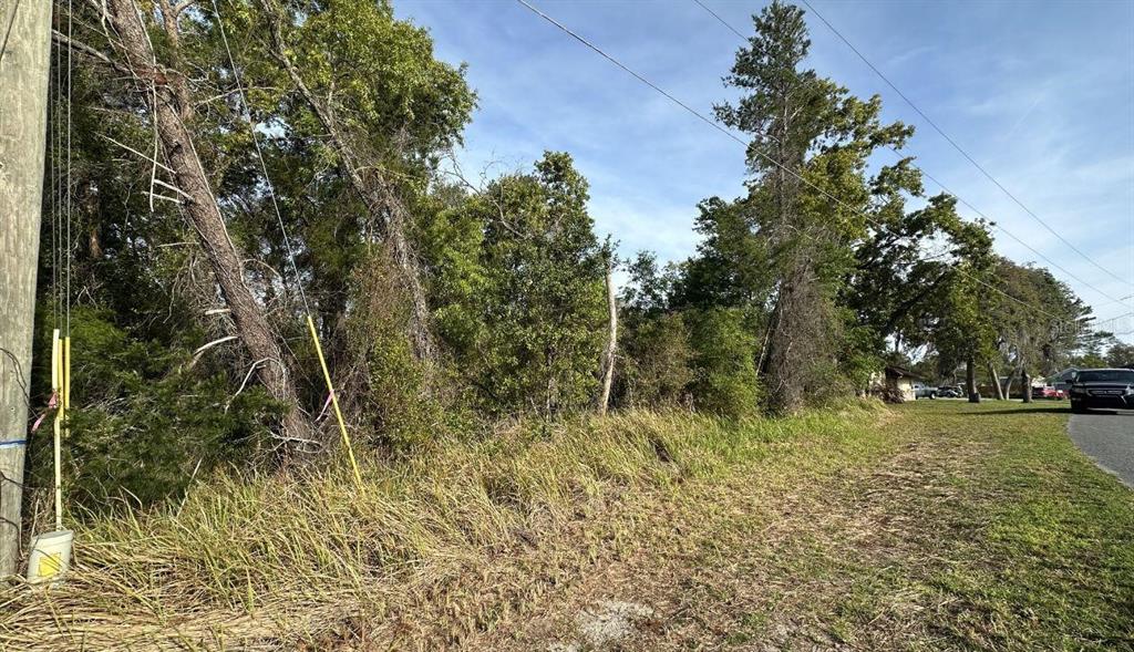 0 OLIVE CIRCLE, OCALA, FL — photo 2 of 7
