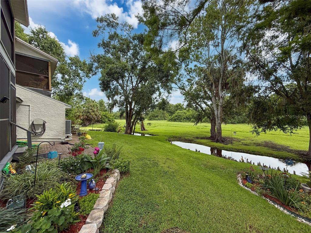 A backyard view featuring a grassy lawn, a small pond, mature trees, and a patio — 7135 TRENTON PLACE, NEW PORT RICHEY, FL