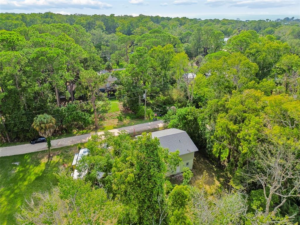 An aerial view shows a light green house surrounded by dense trees near a road — 18632 ROSEMARY ROAD, ARIPEKA, FL
