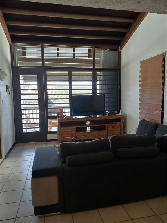 A living room features a dark sectional sofa, a wooden media console, and large windows — Villa Marina Condo VILLA MARINA AVE. UNIT G301, FAJARDO, PR