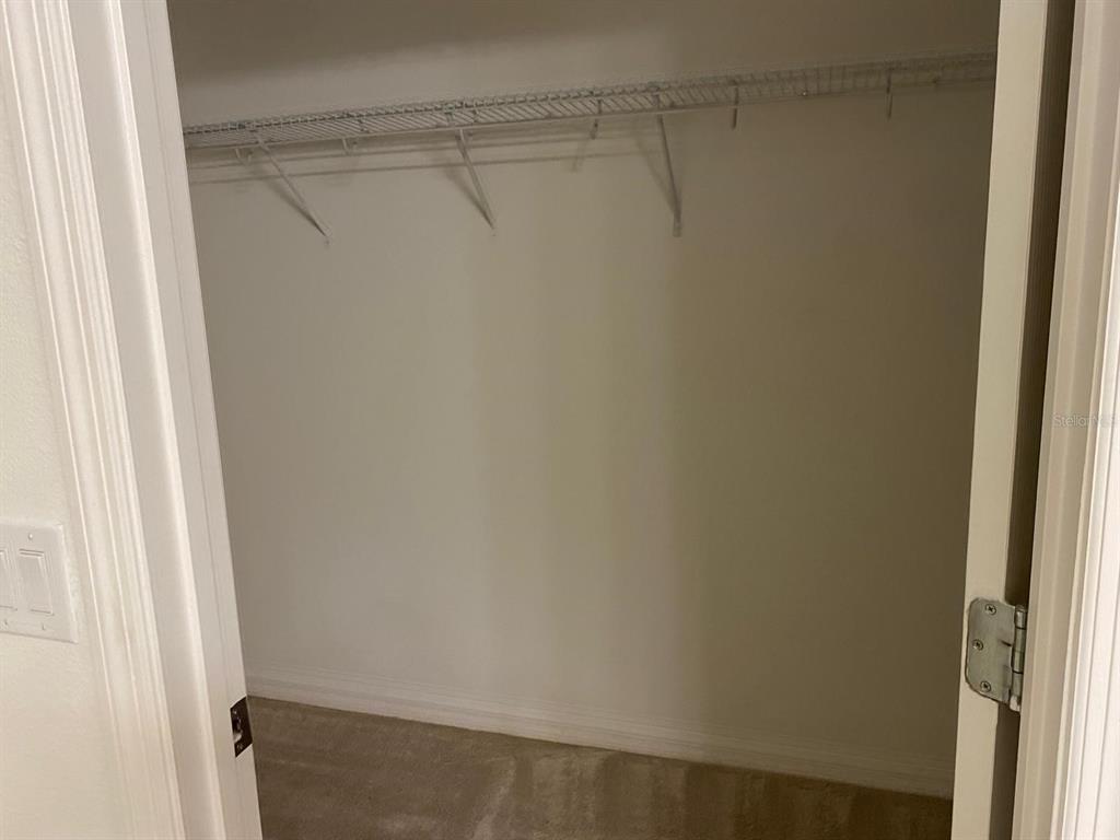 A walk-in closet with beige carpet, white walls, and a single wire shelving unit — 258 ANNABELLE WAY, DAVENPORT, FL