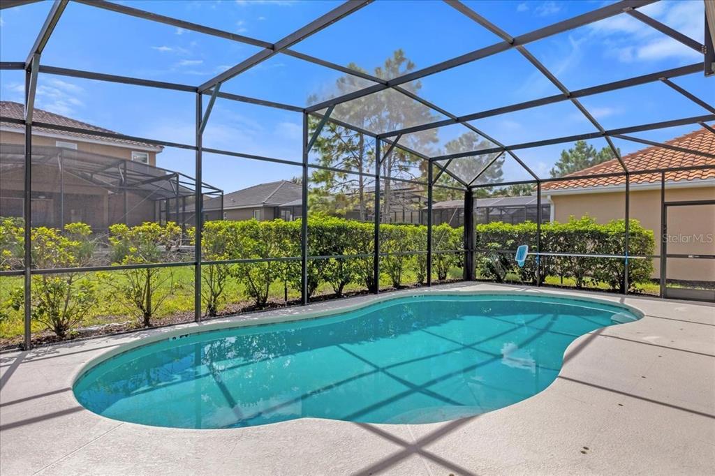 A screened-in swimming pool sits on a concrete patio surrounded by a hedge — 4072 OAKTREE DRIVE, DAVENPORT, FL