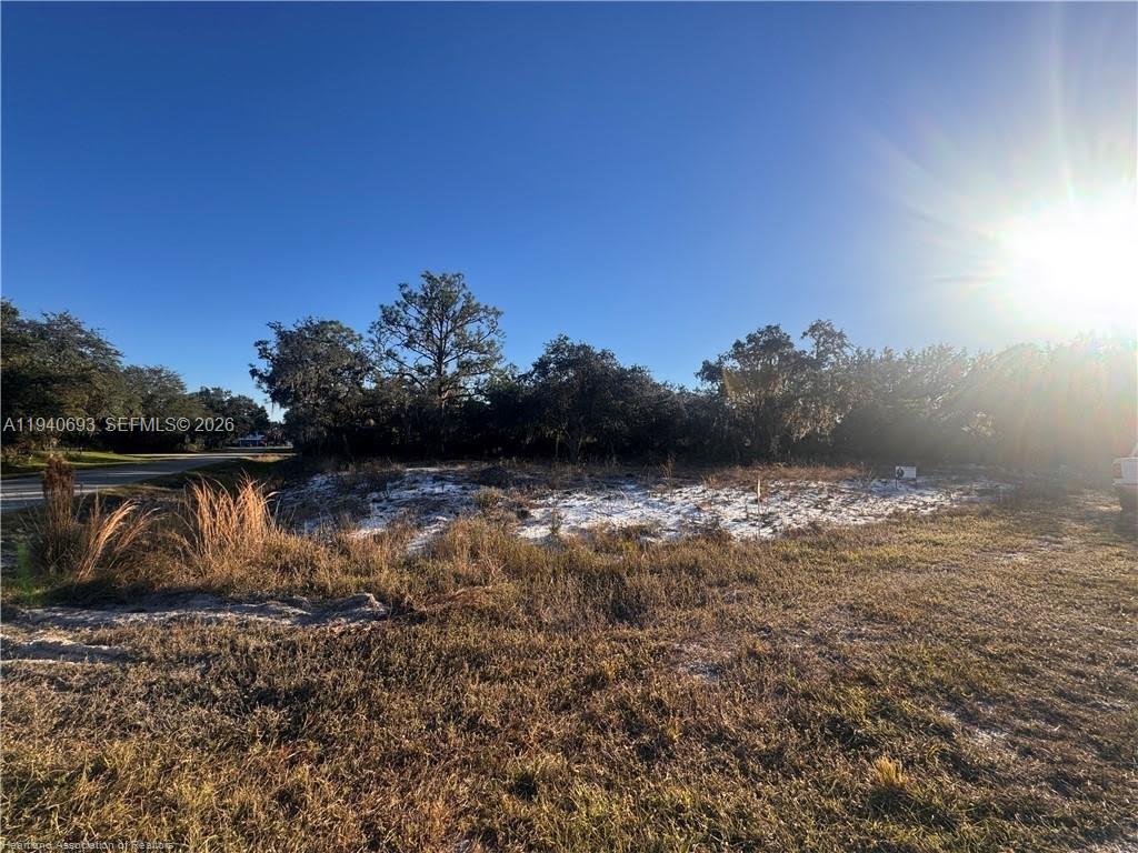 An empty, sandy residential lot features scattered dry grass and mature trees under a bright sky — 5800 Redwood Ter, Sebring FL 33876, SEBRING, FL