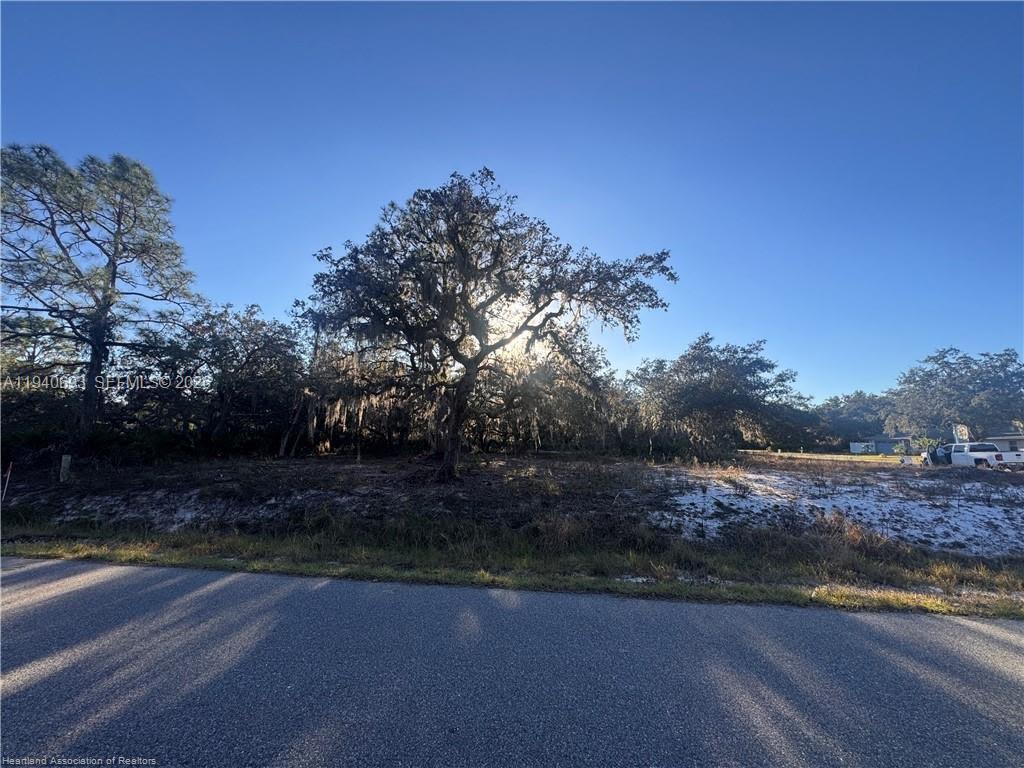 A large oak tree stands on a vacant, sandy lot next to a paved road — 5800 Redwood Ter, Sebring FL 33876, SEBRING, FL
