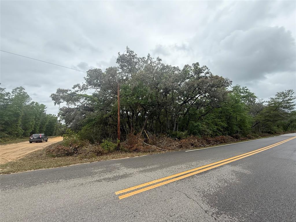 A paved road runs alongside a wooded lot with a utility pole and dirt path — TBD THERESA AVENUE, INTERLACHEN, FL