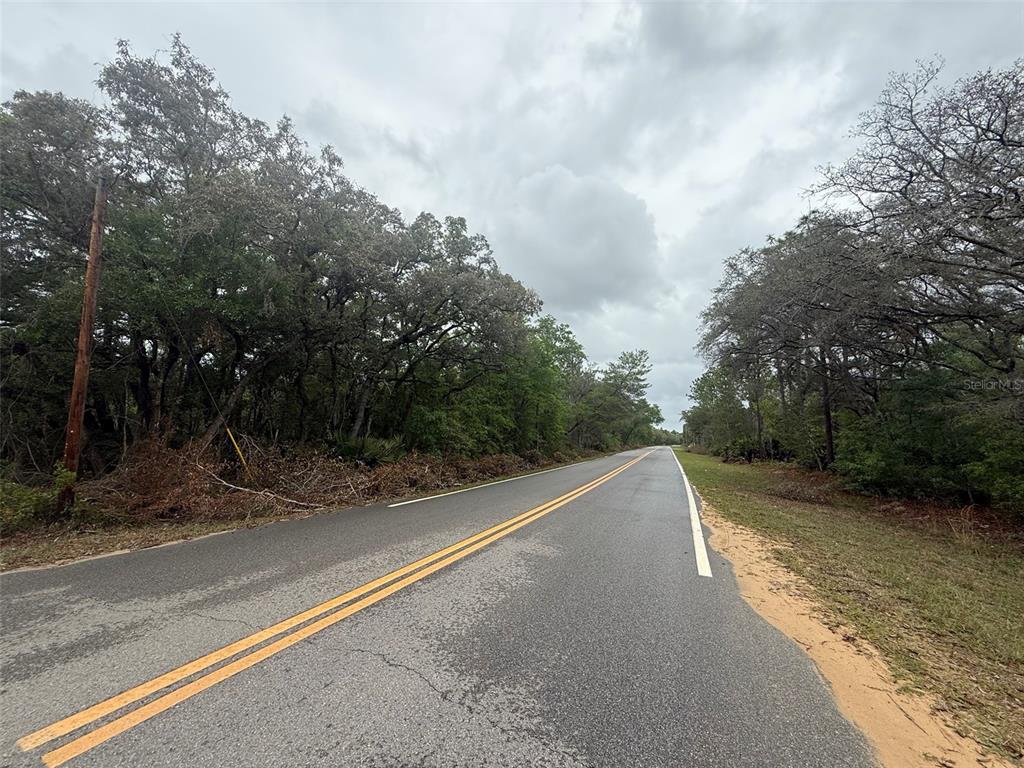 A paved road with double yellow lines runs through a wooded area under a cloudy sky — TBD THERESA AVENUE, INTERLACHEN, FL