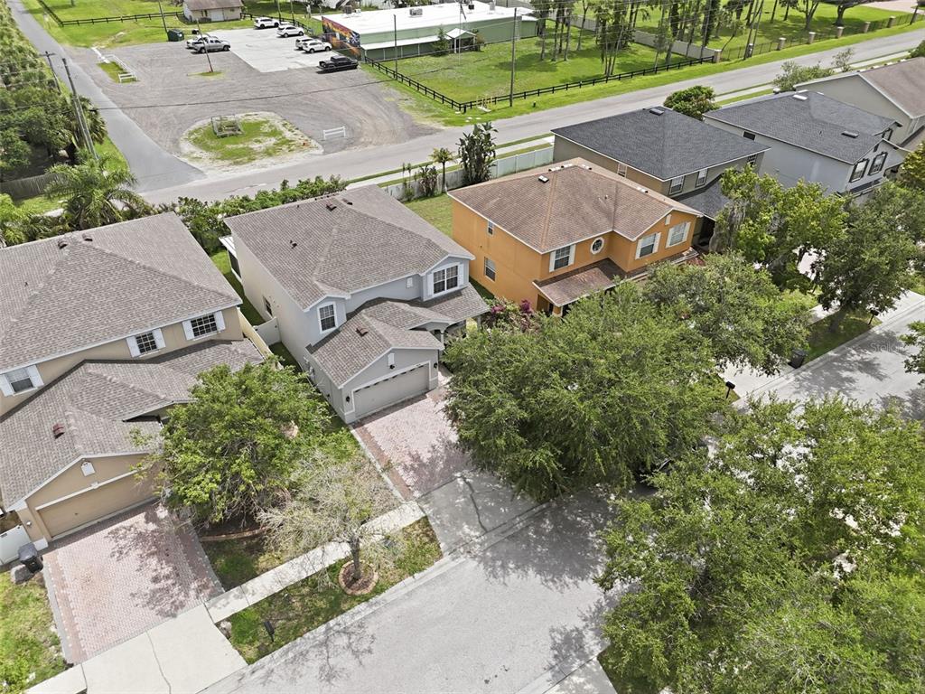 An aerial view shows several suburban houses with shingled roofs and paved driveways — 8836 CAMERON CREST DRIVE, TAMPA, FL