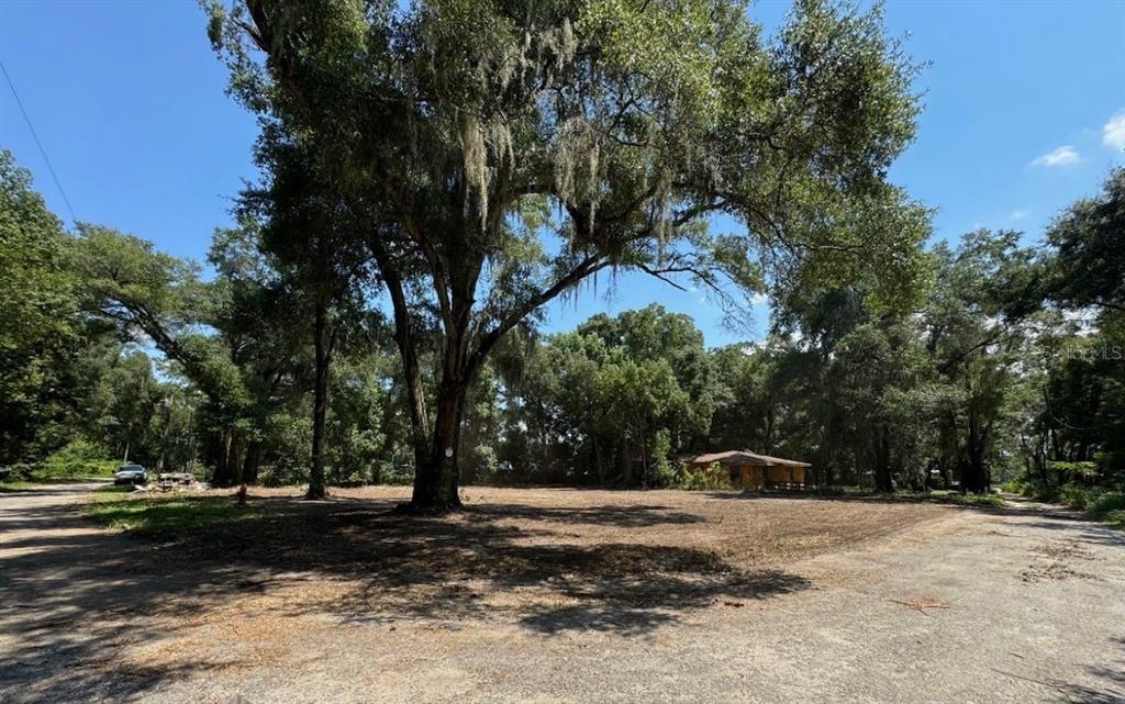 A large, cleared lot features a prominent oak tree and a small house in the background — 2264 NW 12TH STREET, OCALA, FL