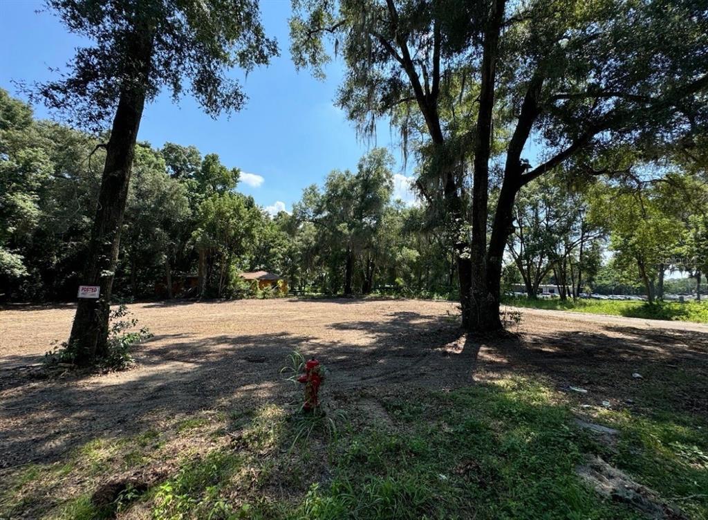 A cleared, level lot features mature trees and a fire hydrant in the foreground — 2264 NW 12TH STREET, OCALA, FL
