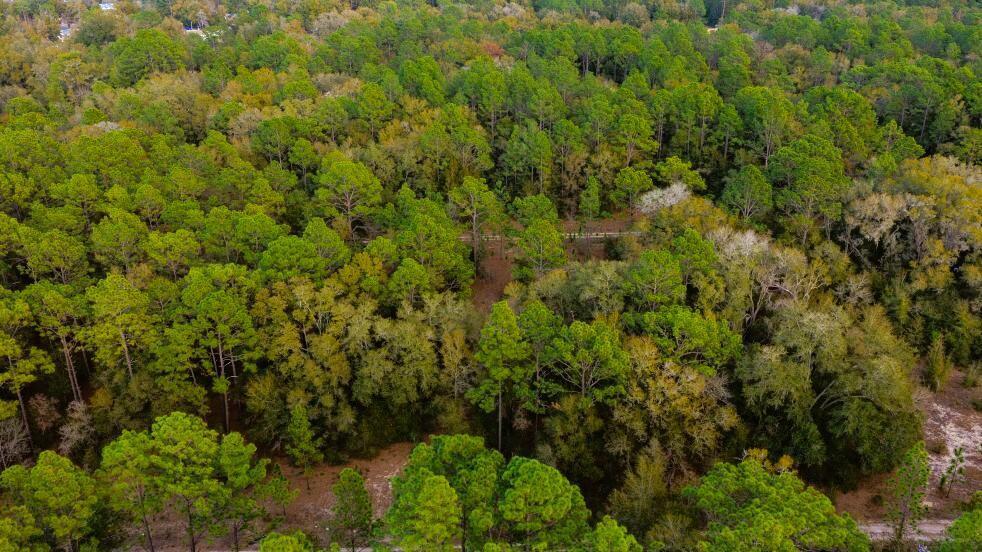 An aerial view shows a dense forest with a dirt path winding through the trees — 0 SW 152 Terrace, Ocala FL 34481, OCALA, FL