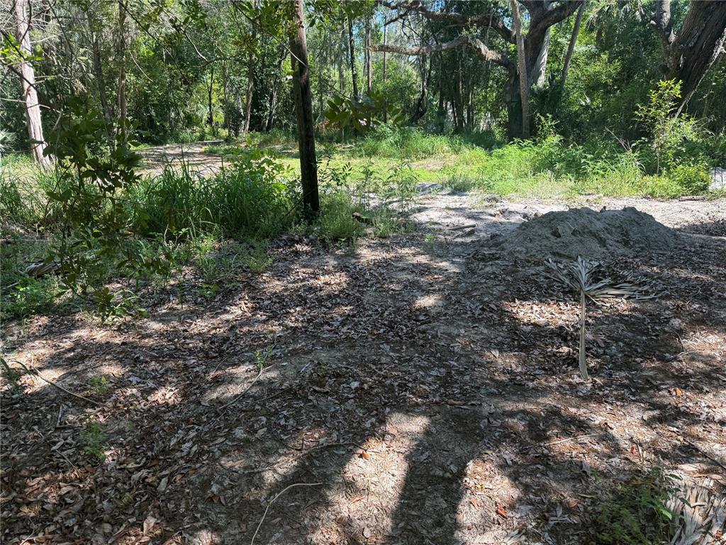 A dirt path leads through a wooded lot with scattered trees and vegetation — 3621 ELFERS PARKWAY, NEW PORT RICHEY, FL