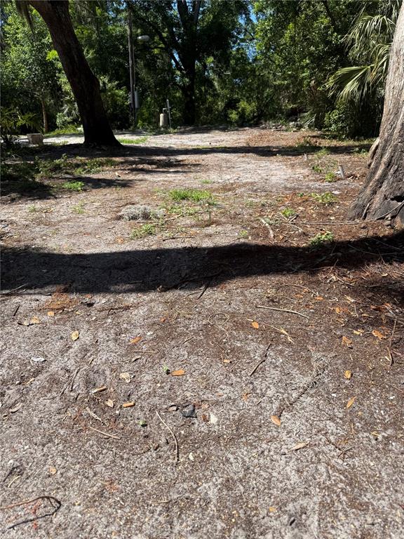 A view of a sandy, wooded lot with several large trees and sparse vegetation — 3621 ELFERS PARKWAY, NEW PORT RICHEY, FL