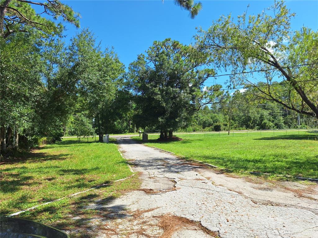 A cracked asphalt driveway leads through a grassy lot surrounded by mature trees — 7606 VAN DYKE ROAD, ODESSA, FL