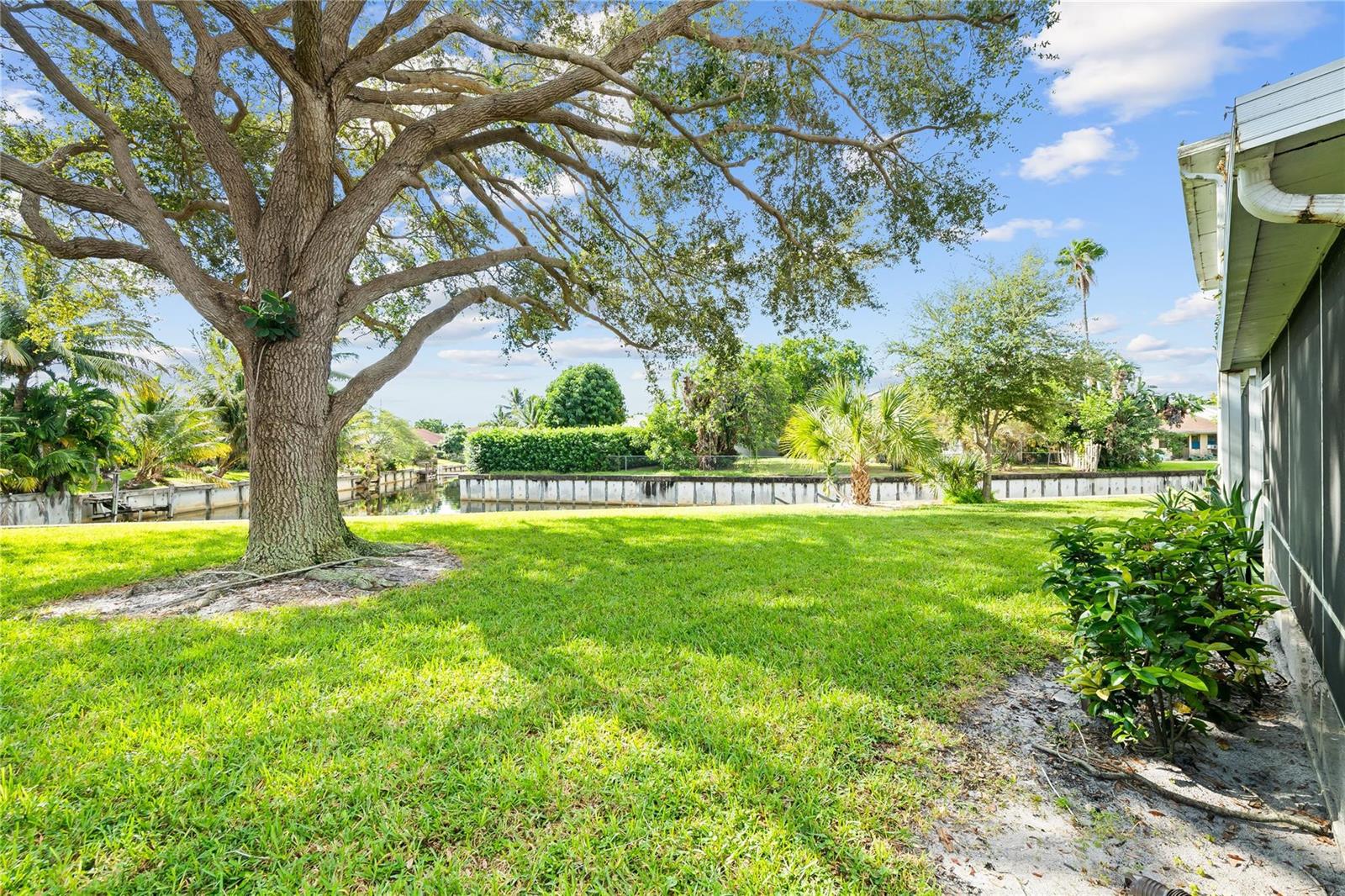 A large tree stands in a grassy backyard next to a canal and a house — 1840 NW 13th Street # 103, Delray Beach FL 33445, DELRAY BEACH, FL