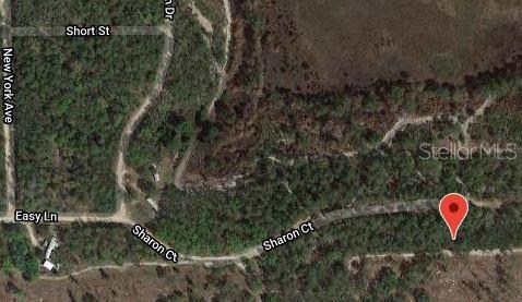 153 SHARON DRIVE, SATSUMA, FL — photo 2 of 3