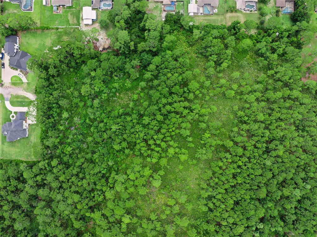 An aerial view shows a large, wooded vacant lot adjacent to several residential homes — 35 FYFE AVENUE, DEBARY, FL