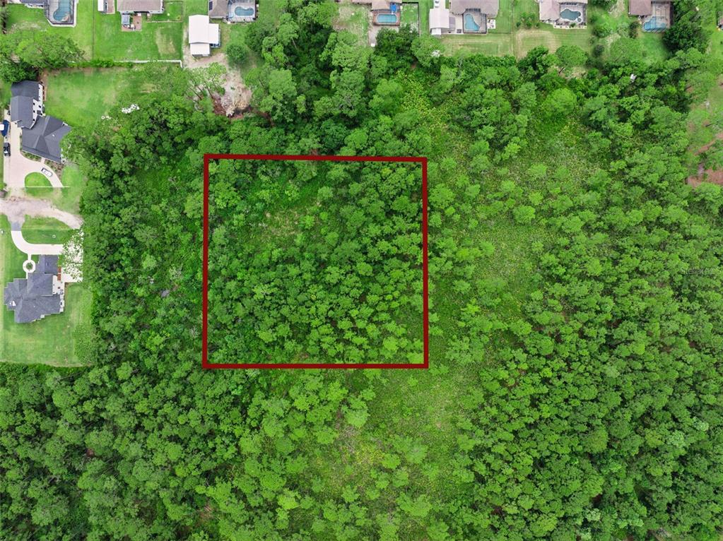 An aerial view shows a rectangular red outline marking a wooded plot of land — 35 FYFE AVENUE, DEBARY, FL