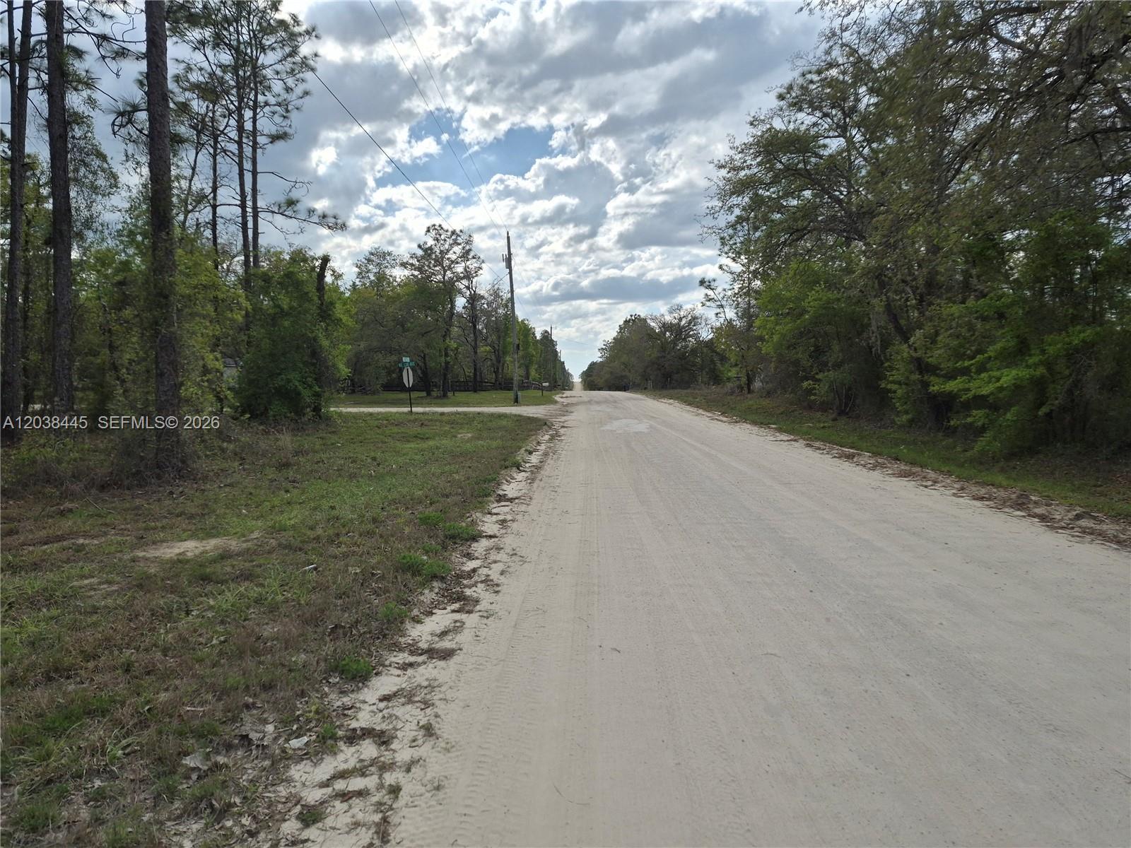 A dirt road stretches through a wooded area under a cloudy sky — 00 NE 4 ST, Williston FL 32696, WILLISTON, FL