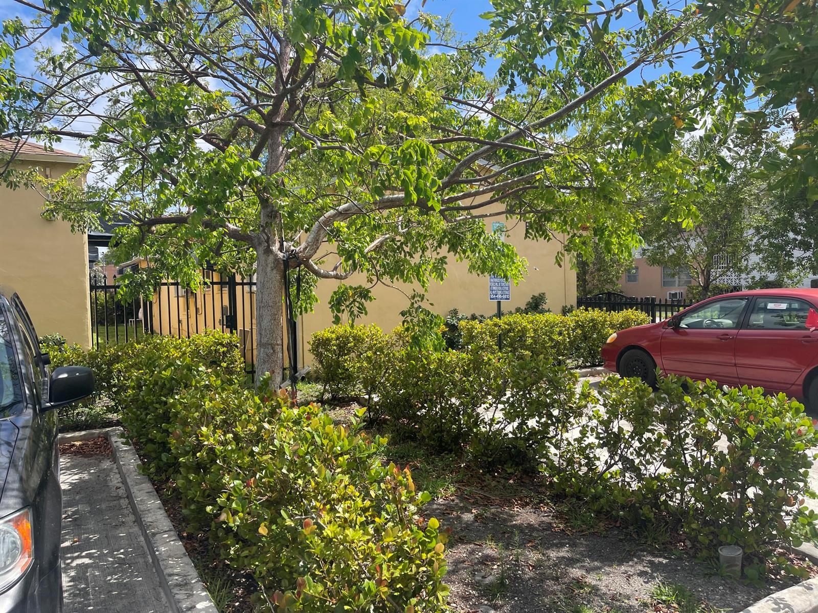A parking area features a tree, green shrubs, and a red car next to a building — 1948 Buchanan Street, Hollywood FL 33020, HOLLYWOOD, FL