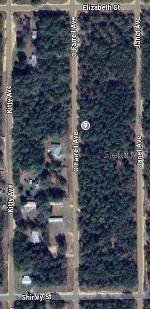 O FARREL AVENUE, INTERLACHEN, FL — photo 2 of 5