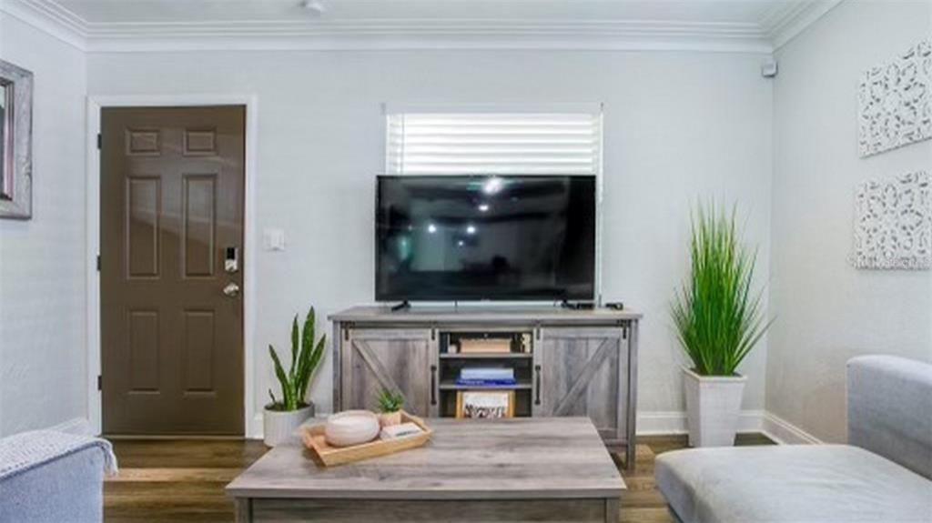 A living room features a television on a wooden console, a coffee table, and plants — 4629 4TH AVENUE N, ST PETERSBURG, FL