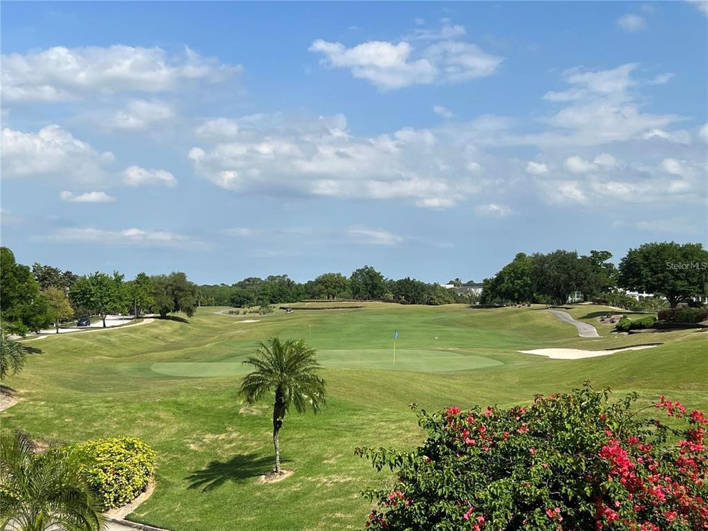 A view of a golf course green with a palm tree and flowering bushes — 1301 SEVEN EAGLES COURT UNIT 1301, REUNION, FL