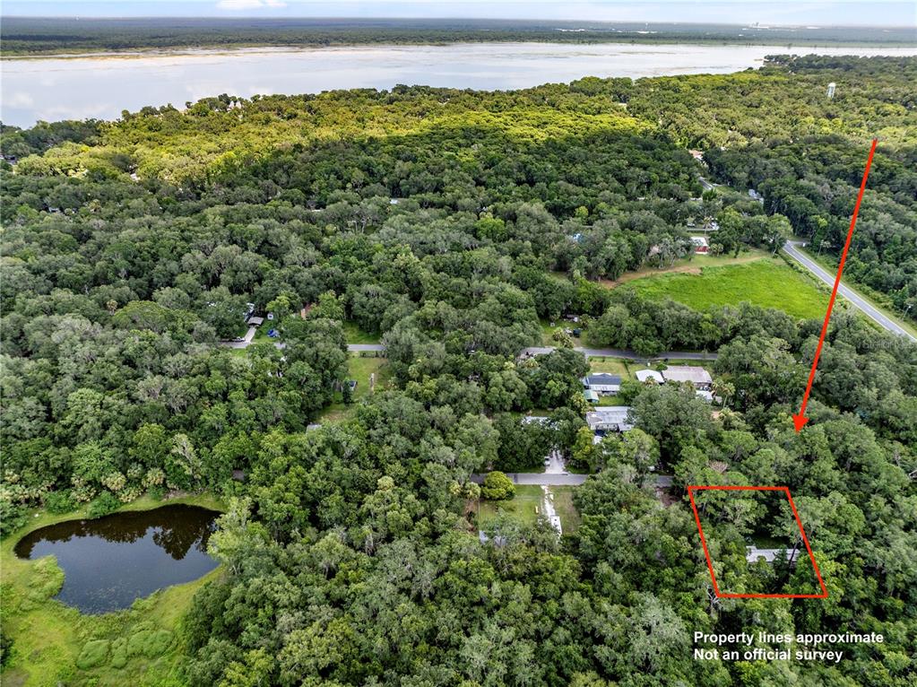 An aerial view shows a wooded residential lot near a lake with a red outline — 3080 CR 417, LAKE PANASOFFKEE, FL